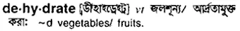 dehydrate Meaning in Bangla Academy Dictionary