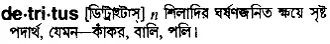 detritus Meaning in Bangla Academy Dictionary