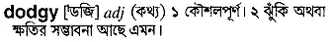 dodgy Meaning in Bangla Academy Dictionary