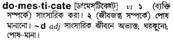 domesticate Meaning in Bangla Academy Dictionary