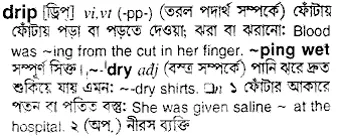 drip Meaning in Bangla Academy Dictionary