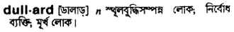 dullard Meaning in Bangla Academy Dictionary