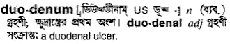 duodenum Meaning in Bangla Academy Dictionary