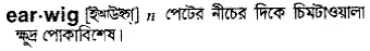 earwig Meaning in Bangla Academy Dictionary