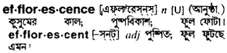 efflorescence Meaning in Bangla Academy Dictionary