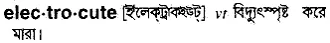 electrocute Meaning in Bangla Academy Dictionary