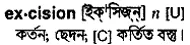 excision Meaning in Bangla Academy Dictionary