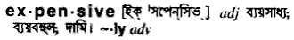 expensive Meaning in Bangla Academy Dictionary