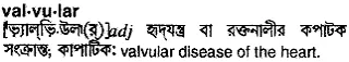 valvular Meaning in Bangla Academy Dictionary