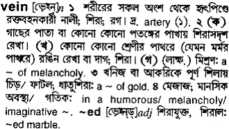 vein Meaning in Bangla Academy Dictionary