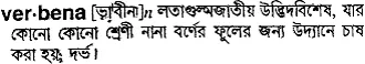 verbena Meaning in Bangla Academy Dictionary