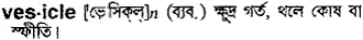 vesicle Meaning in Bangla Academy Dictionary