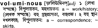 voluminous Meaning in Bangla Academy Dictionary