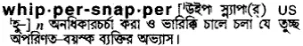 whippersnapper Meaning in Bangla Academy Dictionary